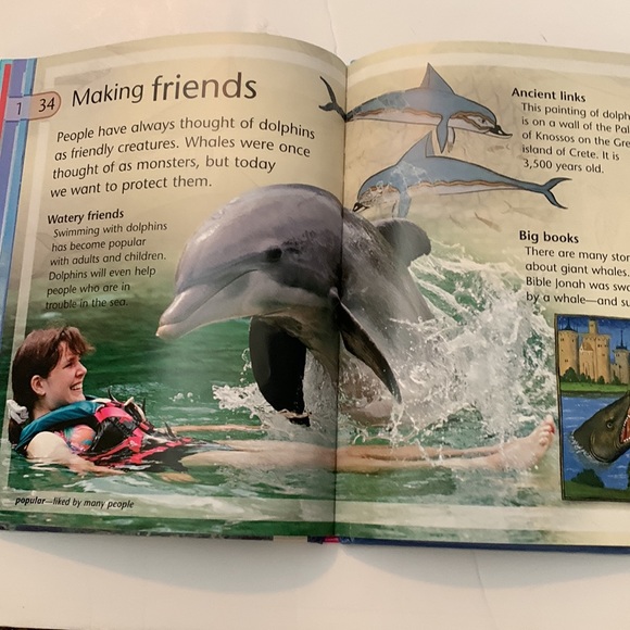 Whales and dolphins by Caroline Harris - Picture 6 of 10